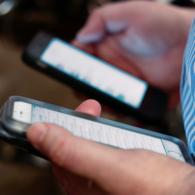 Phase 3.  Final validation studies. 